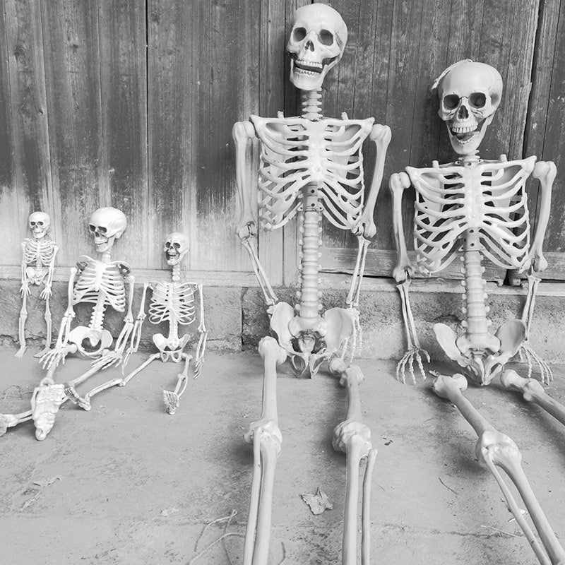 Halloween Skeleton Decoration and Garage Door Cover Posable Plastic Prop 12 Foot Tall