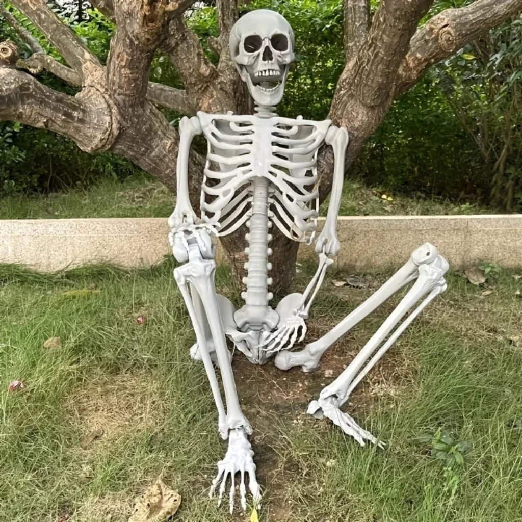 Halloween Skeleton Decoration Life Size Poseable Articulated Prop for Outdoor Yard and Party Display
