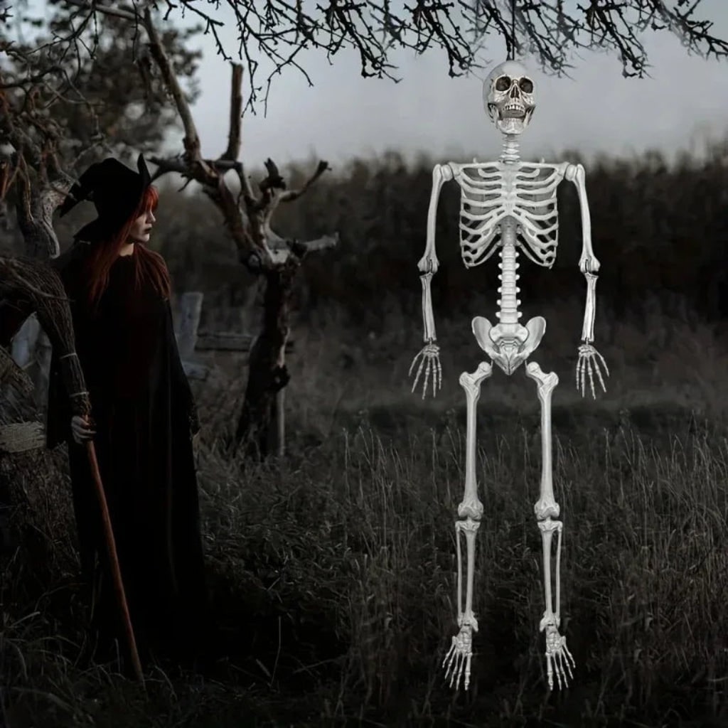 Halloween Skeleton Decoration Life Size Poseable Articulated Prop for Outdoor Yard and Party Display