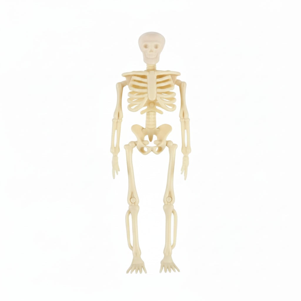 Halloween Skeleton Decorations Mini Plastic Posable Figurines with Jute Twine for Party and Haunted