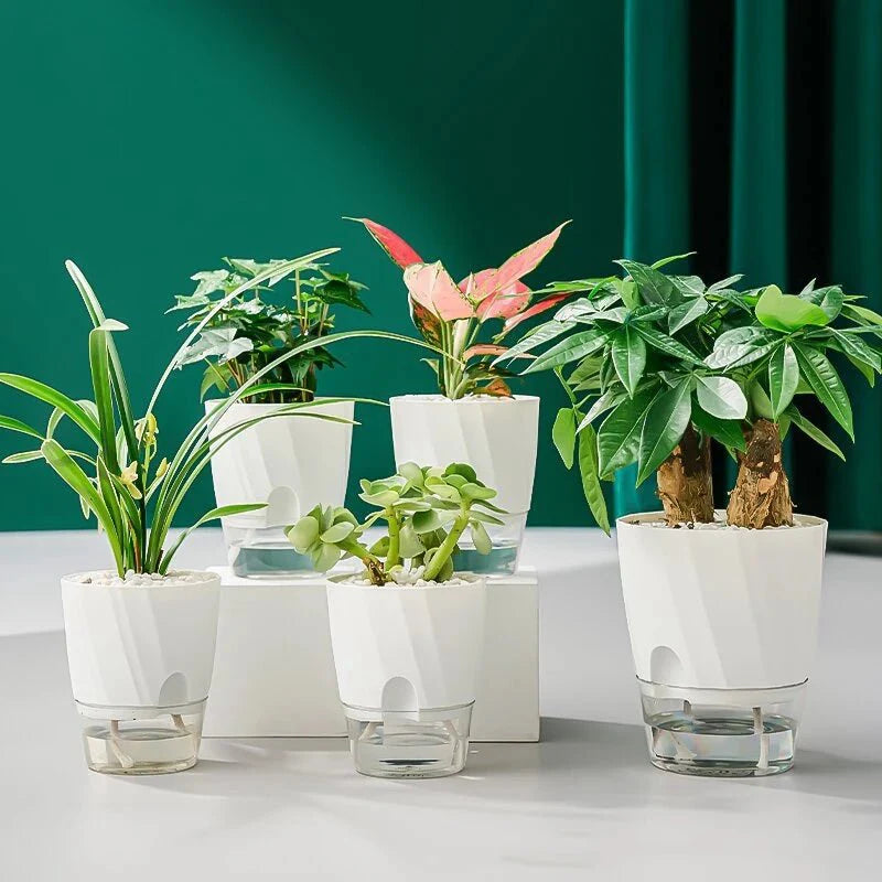 HYDROPOT – Self-Watering Plastic Flowerpot for Soilless Indoor Gardening