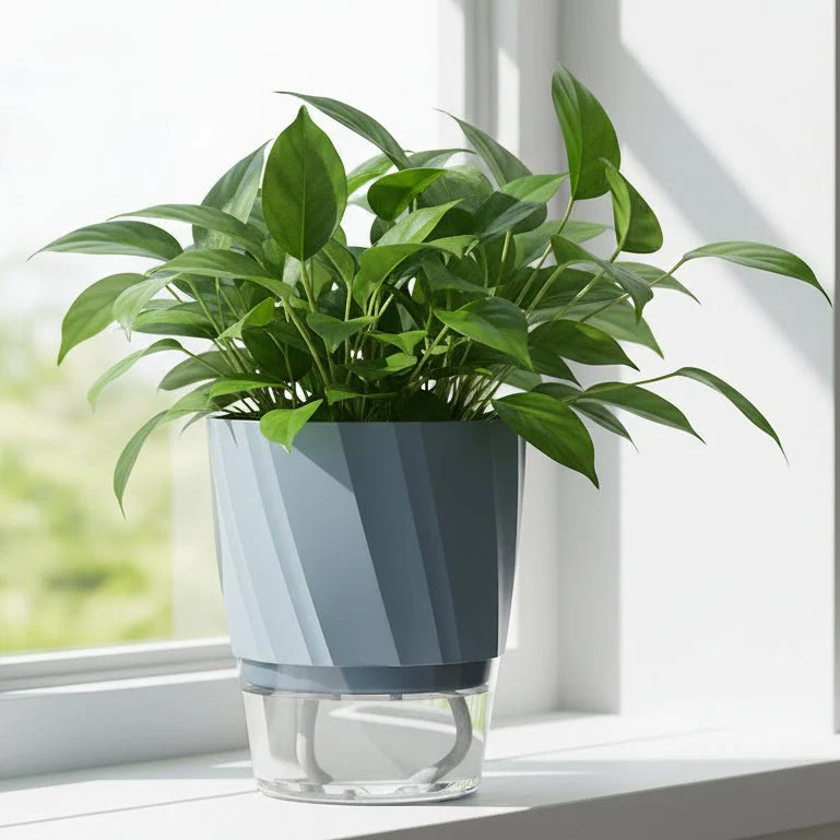 HYDROPOT – Self-Watering Plastic Flowerpot for Soilless Indoor Gardening