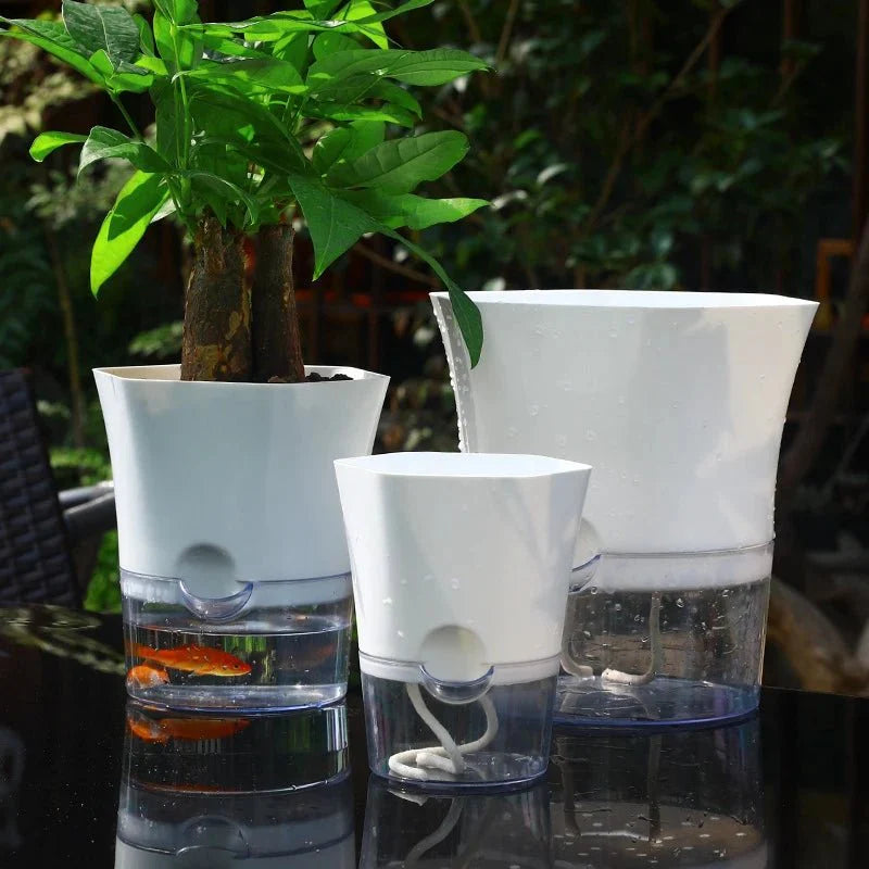 HYDROPOT – Self-Watering Plastic Flowerpot for Soilless Indoor Gardening