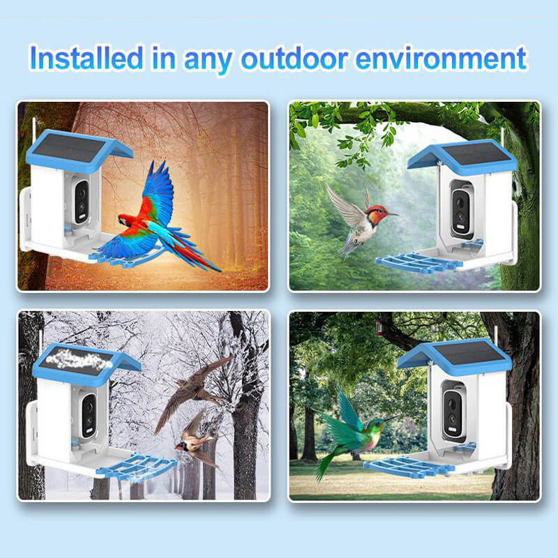 Smart AI Bird Feeder with HD Camera & Night Vision – Solar Powered, Real-Time App Alerts, Squirrel-Proof, 11000+ Species Recognition
