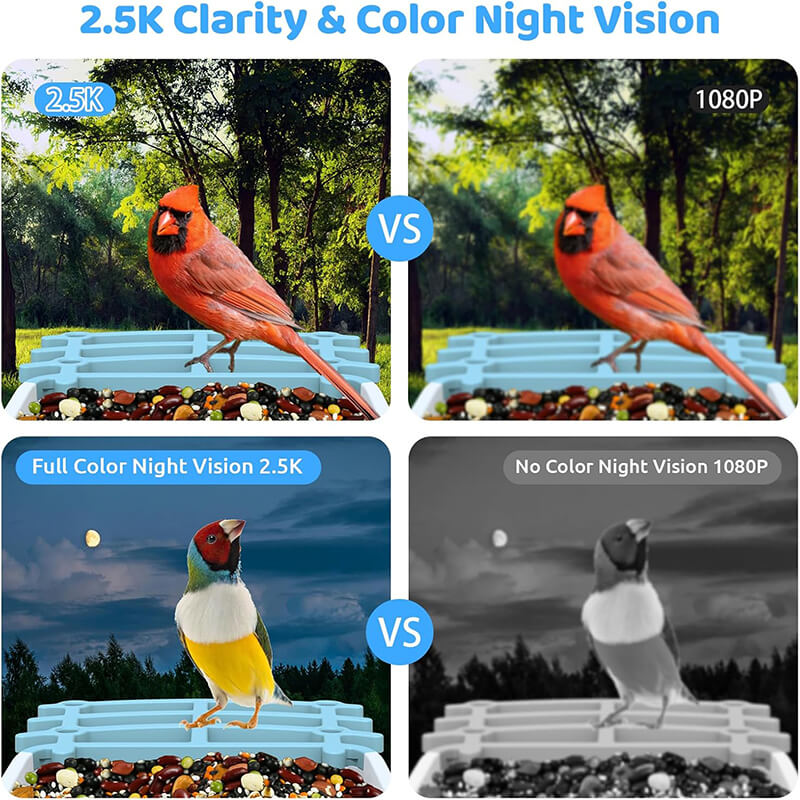 Smart AI Bird Feeder with HD Camera & Night Vision – Solar Powered, Real-Time App Alerts, Squirrel-Proof, 11000+ Species Recognition