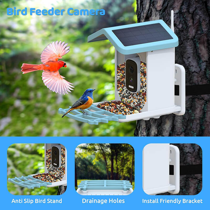 Smart AI Bird Feeder with HD Camera & Night Vision – Solar Powered, Real-Time App Alerts, Squirrel-Proof, 11000+ Species Recognition