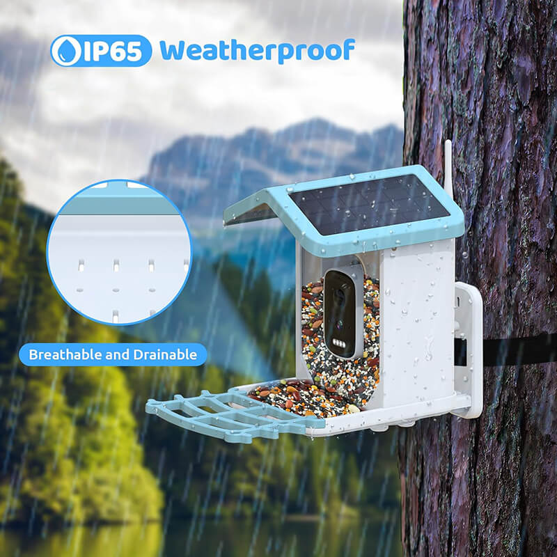 Smart AI Bird Feeder with HD Camera & Night Vision – Solar Powered, Real-Time App Alerts, Squirrel-Proof, 11000+ Species Recognition