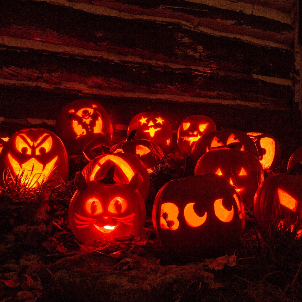 Kids' Halloween Pumpkin Carving Kit and Tools with Stainless Steel Saws and Sculpting for Supplies
