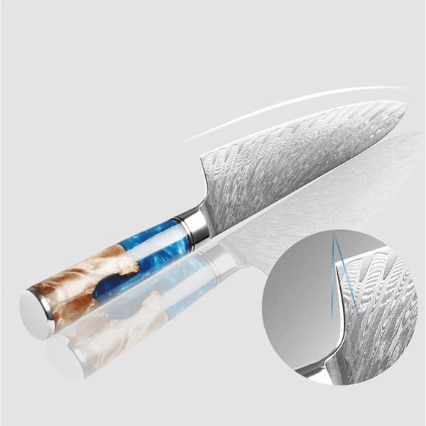 Gyuto (ぎゅうとう) Japanese Damascus Steel Knife with Coloured Blue Handle