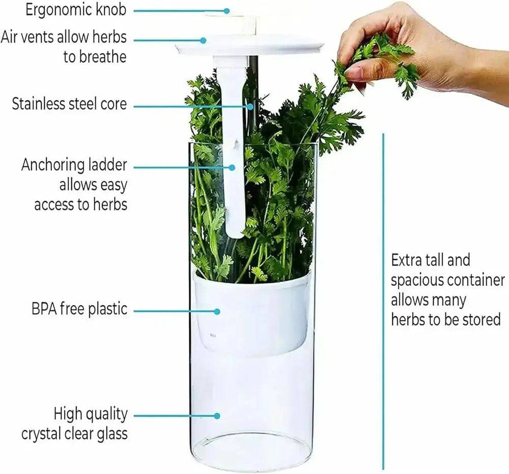 Herb & Vegetable Storage Container