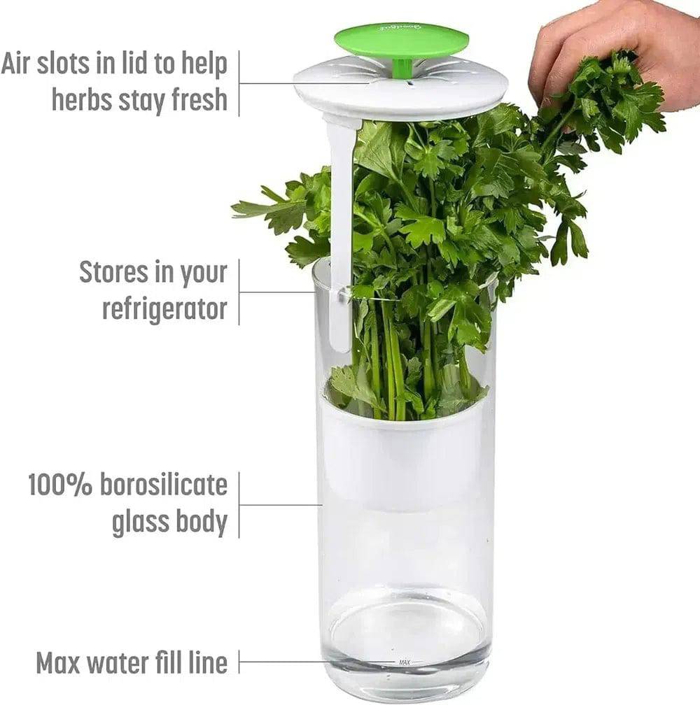 Herb & Vegetable Storage Container