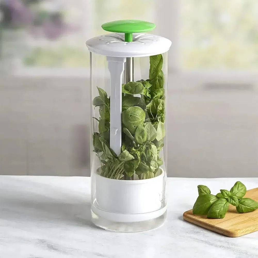 Herb & Vegetable Storage Container