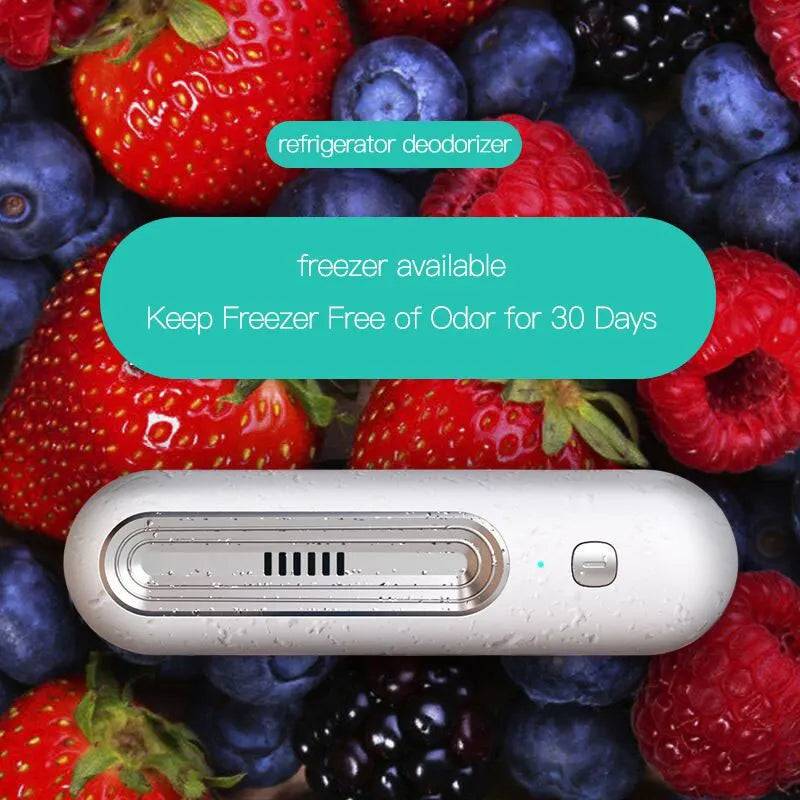 Refrigerator Deodoriser Air Purifier