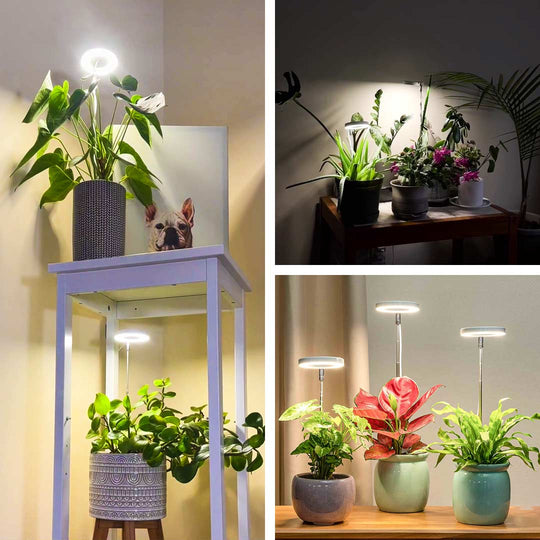 LED Plant Growth Lamp – Circular Design with 5 Brightness Levels, 4 Height Adjustments & Timer Options