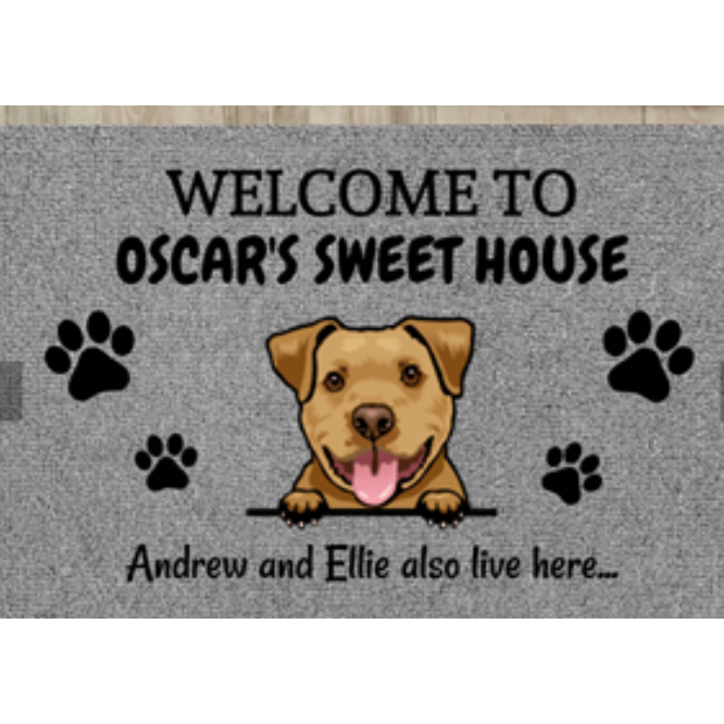 Personalized Custom Doormat for Front Door with Pet Illustrations Washable Indoor Entryway Mat
