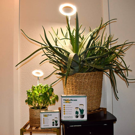 LED Plant Growth Lamp – Circular Design with 5 Brightness Levels, 4 Height Adjustments & Timer Options