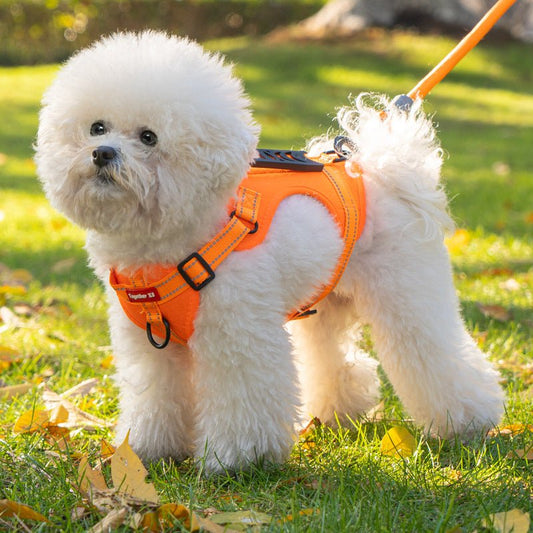 TAILRIVA – Comfortable Reflective Dog Harness for Secure and Stress-Free Walks